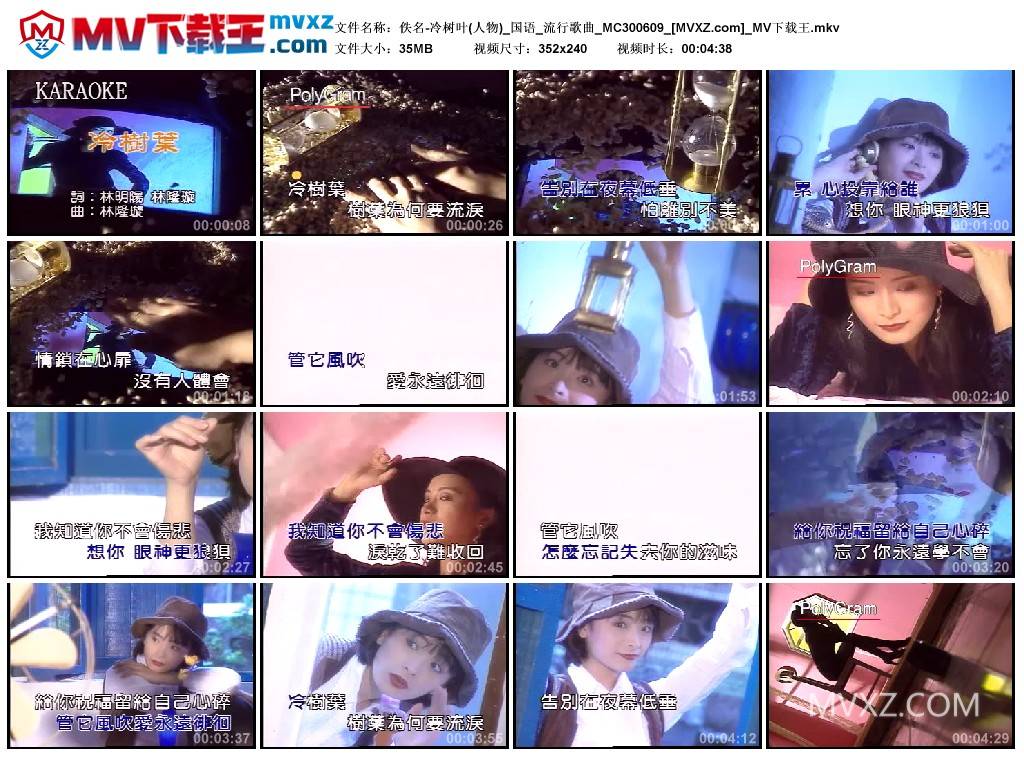 佚名-冷树叶(人物)_国语_流行歌曲_MC300609